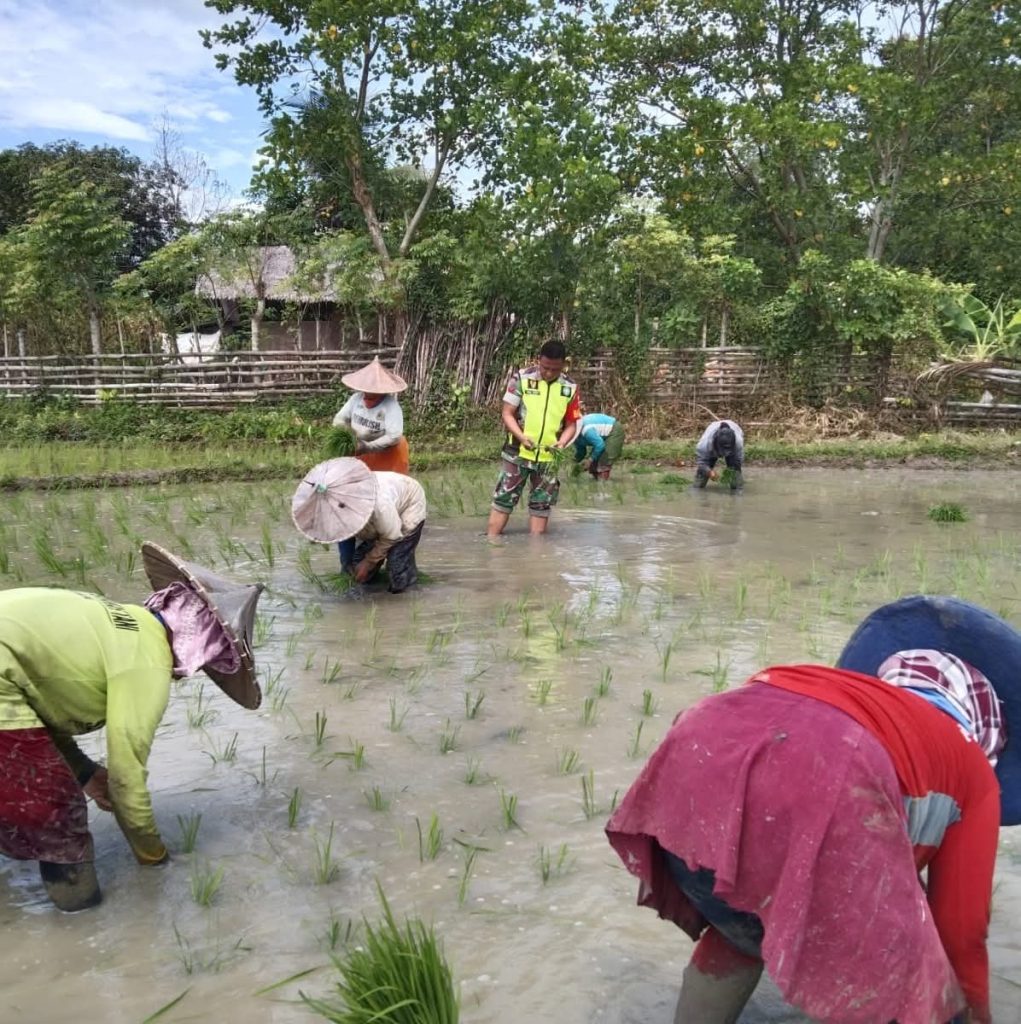 FB_IMG_1763639040475