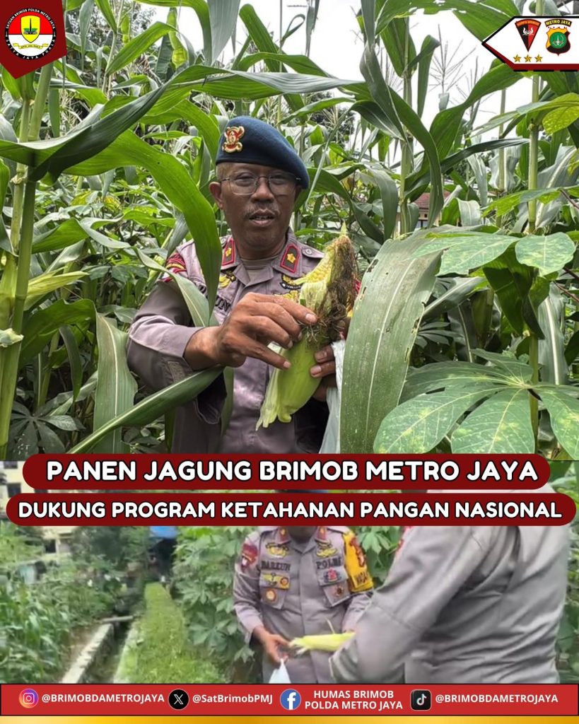 FB_IMG_1763694693702