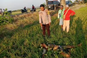 IMG 20260920 WA0109