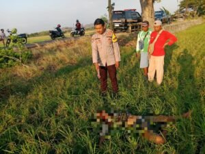 IMG 20260920 WA0109